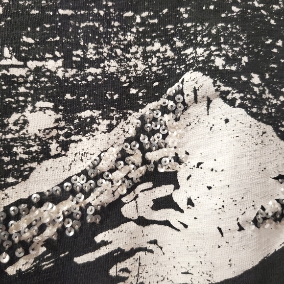 J Crew - Embellished Mountain Scene Tee - Read for Sizing - Picture 4 of 8